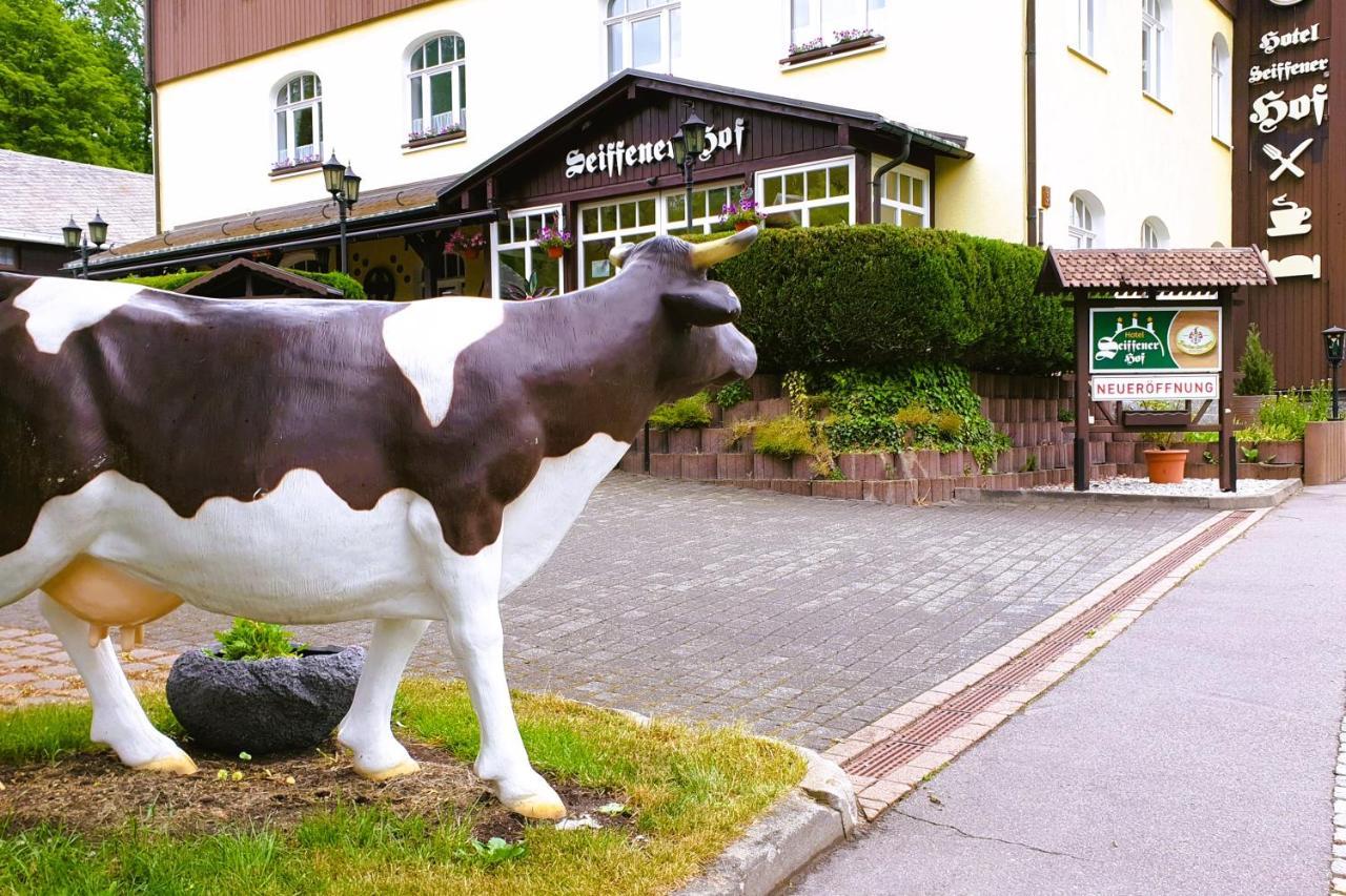 Hotel Seiffener Hof*** Eksteriør bilde